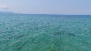 [www.vanilleetepicesdemadagascar.com][358]image