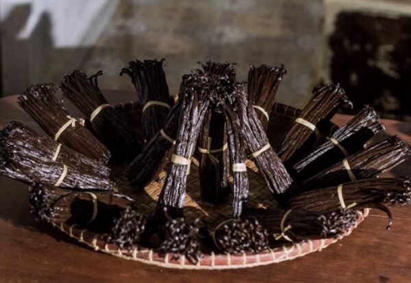 Kg de vanille planifolia 199 €